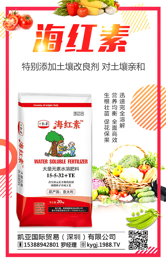 辣椒種植發(fā)展的現(xiàn)狀如何?辣椒高產種植技術要點!