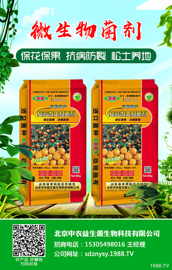 如今磷肥供應(yīng)過剩!今日最新磷肥價格行情走勢預(yù)測2020-4-11