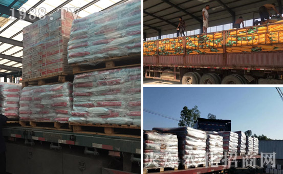 以色列海法化學(xué)工業(yè)公司