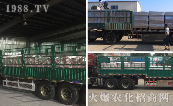 以色列海法化學(xué)工業(yè)公司