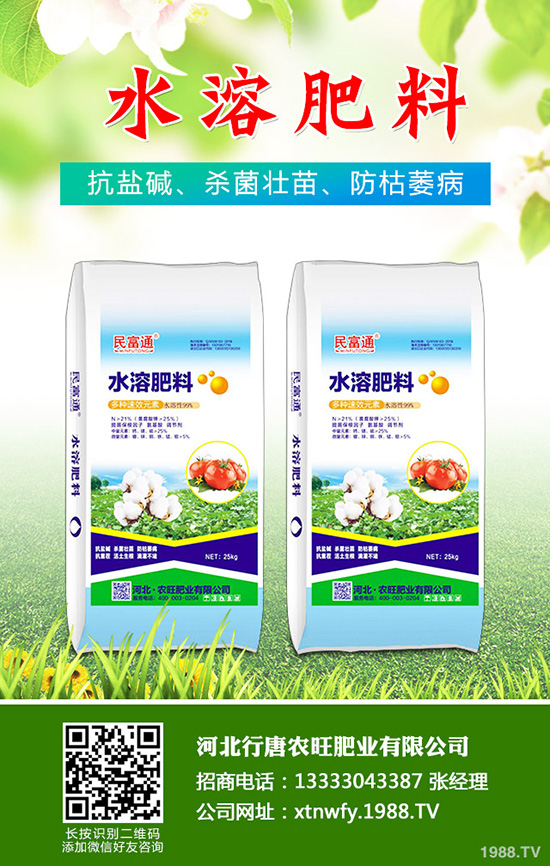 香菜如何種植香味濃產(chǎn)量高?韓國大棵香菜栽培技術(shù)!