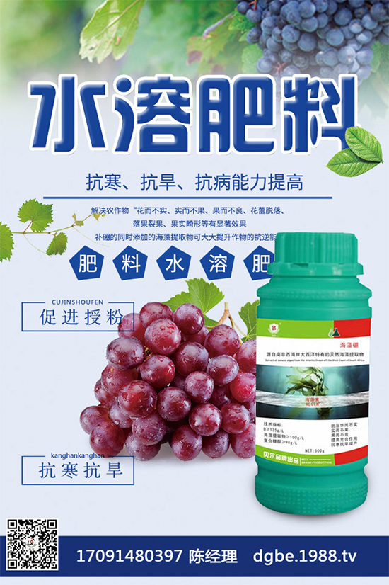 露地西瓜該如何育苗?春季露地西瓜高產(chǎn)栽培技術(shù)