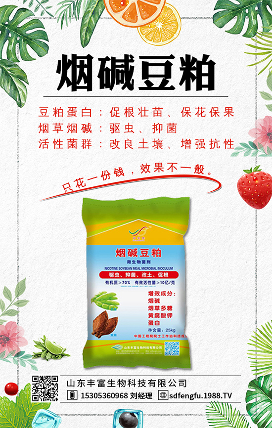 春紅薯什么時間種植?紅薯種植如何才能豐產(chǎn)呢?