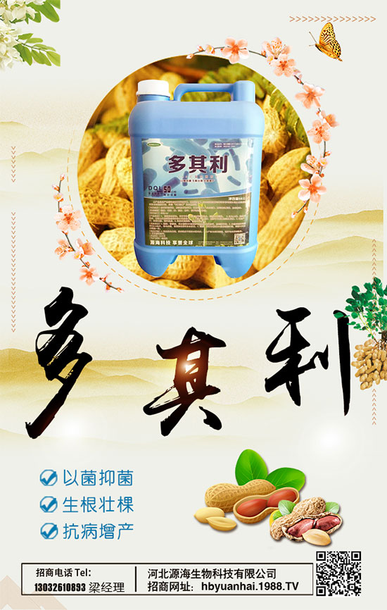 洋蔥什么時(shí)間種植好？洋蔥種植想高產(chǎn)怎么種植？