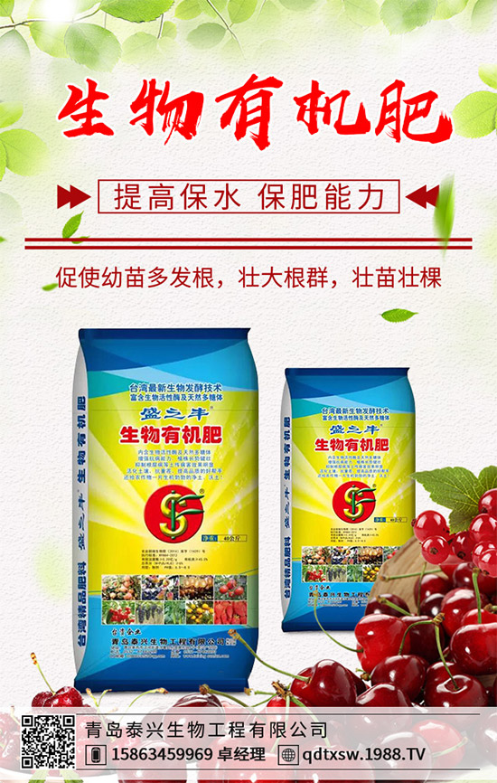 生姜該如何播種育苗?生姜高產(chǎn)栽培技術要點