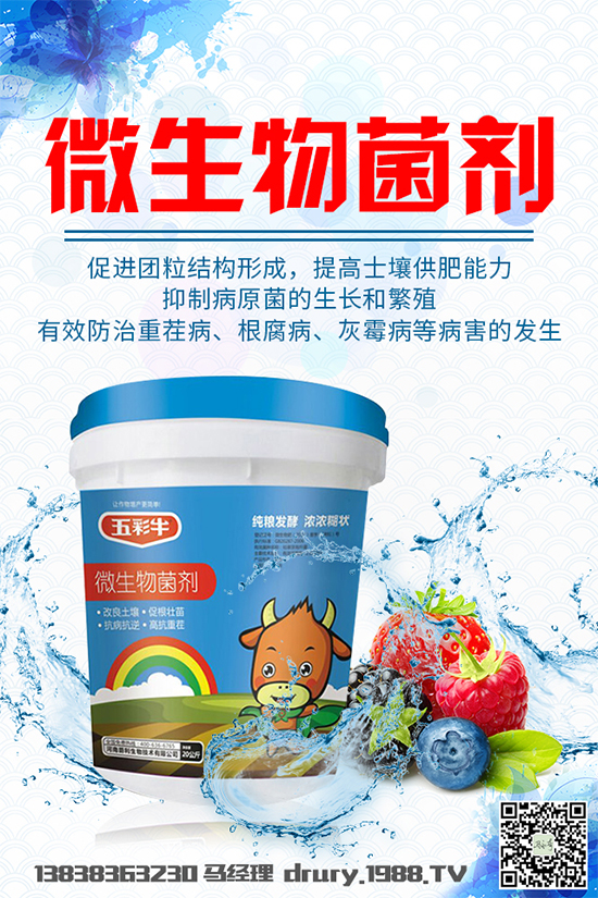 大棚韭菜該怎么種植?韭菜大棚管理技術(shù)要點