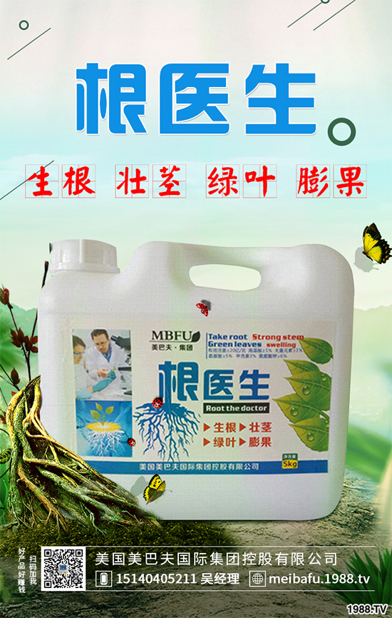 春花生什么時候播種?春花生的播種時間及注意事項