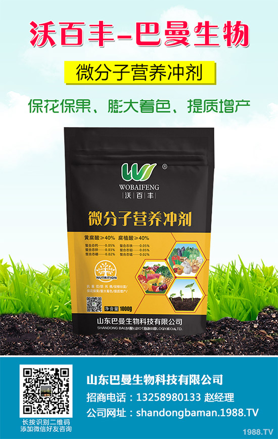 春花生播種的常見誤區(qū)，不少農(nóng)戶犯過錯(cuò)（附解決方案）