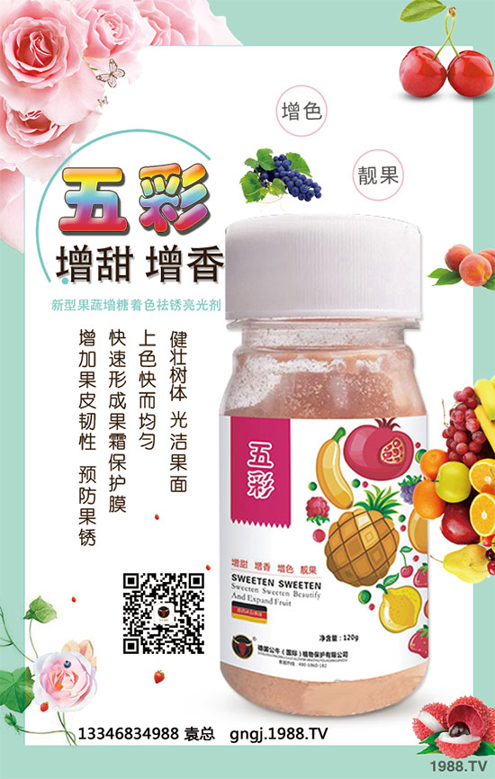 如何因地因品種確定玉米種植行距?玉米株距多遠才是科學的?