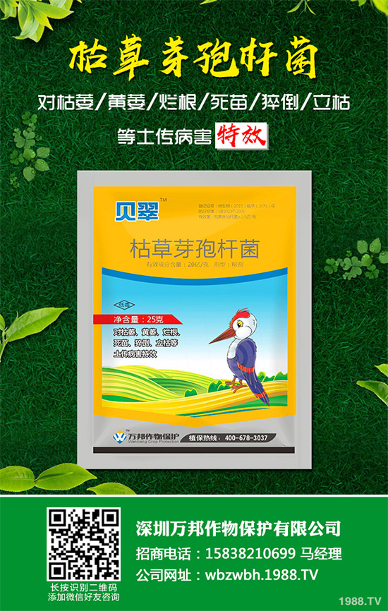 小麥赤霉病藥劑防治效果，有了新變化！