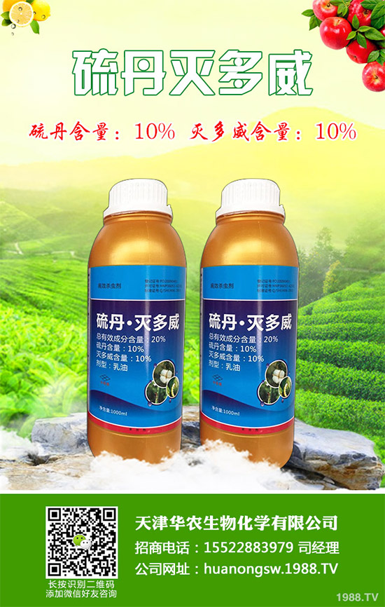 �ݶ��ڼ~�s�Ƴ����з���߻�ͪ���¿�x(ch��ng)��Altus�����ڜ����������^�pֲ���