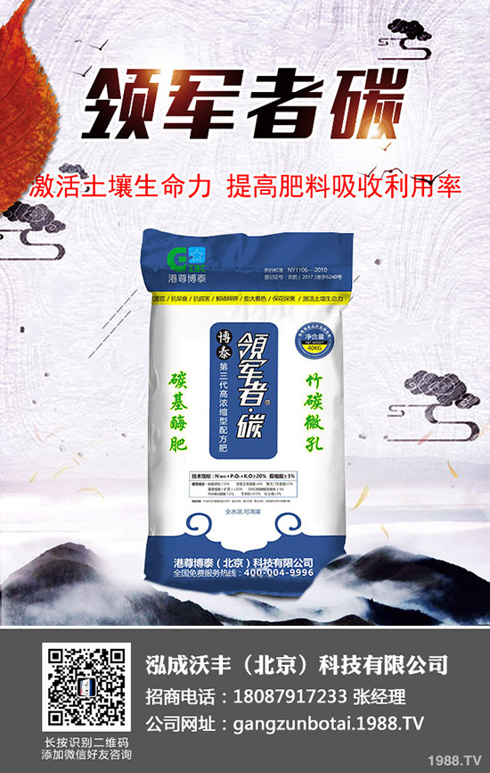 大棚土豆種植更高溫度多少？大棚馬鈴薯如何種植效益高？