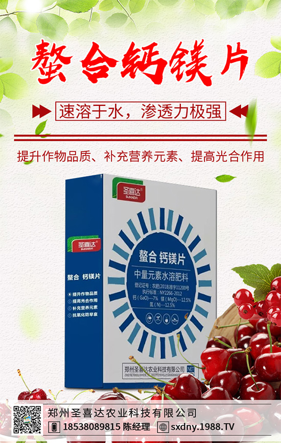 油麥菜該如何育苗?油麥菜的高產(chǎn)栽培管理技術(shù)