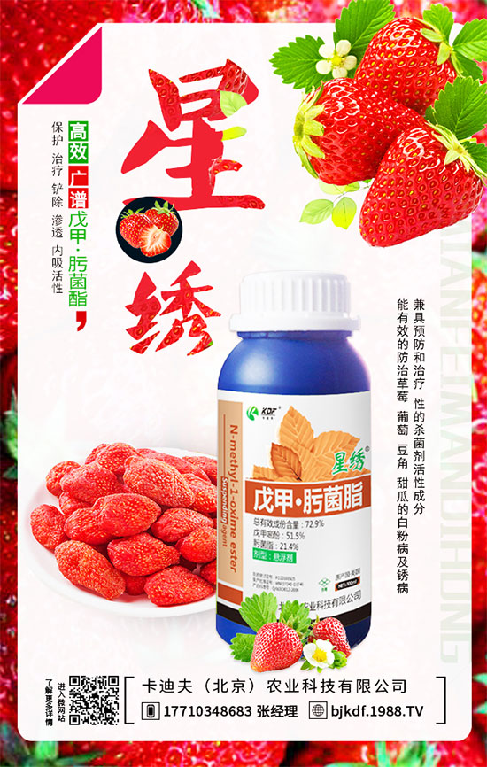 豆角要不要打尖？豆角如何正確整枝打尖呢？