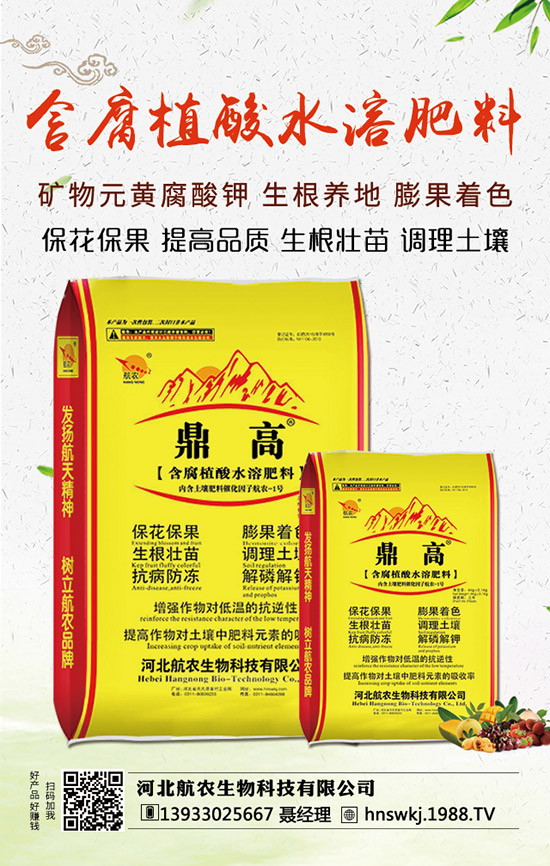 西瓜枯萎病如何防治?西瓜枯萎病和青枯病的區(qū)分!