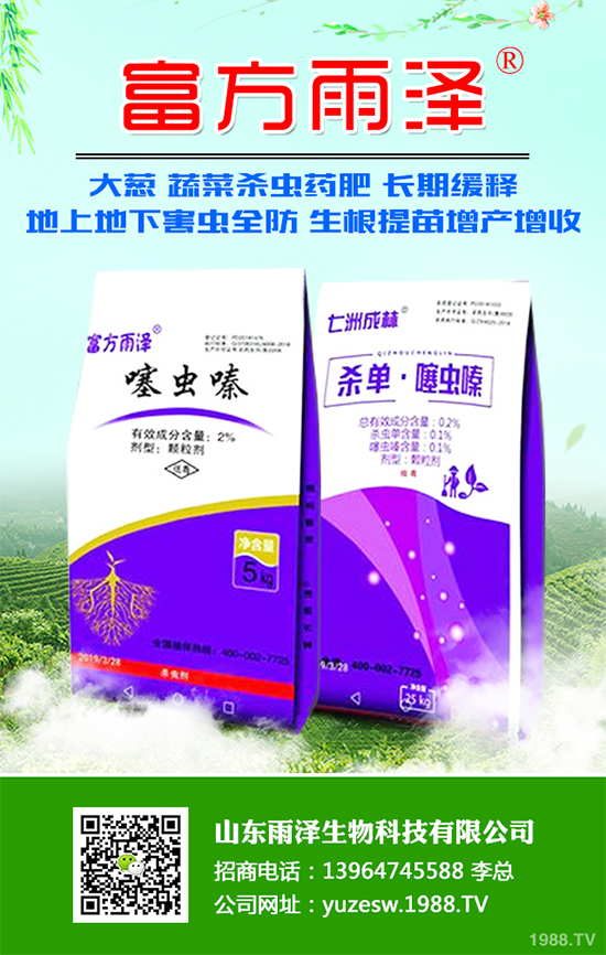 秋葵什么時間種植?秋葵種植生長環(huán)境及整枝技術(shù)!