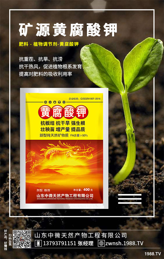 吳茱萸該如何繁殖?吳茱萸的繁殖技術(shù)栽培管理