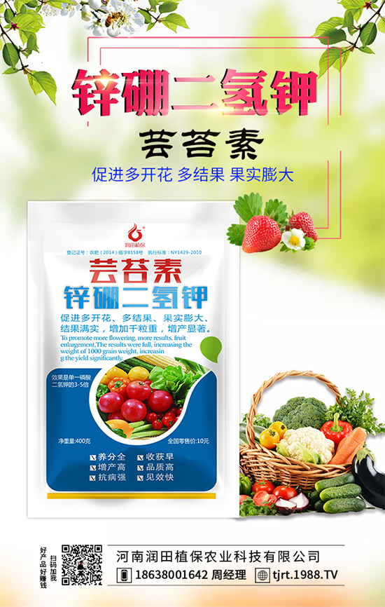 莧菜什么時間栽種?莧菜種植技術(shù)要點!