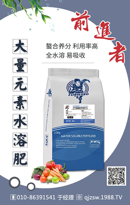 柑橘肥害有哪些癥狀,如何預(yù)防補(bǔ)救柑橘肥害司