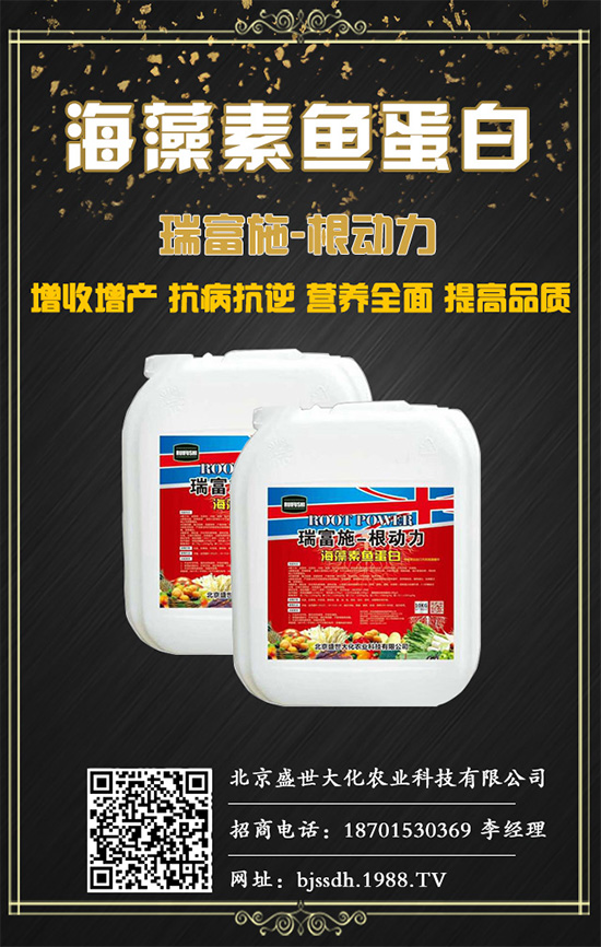 土茯苓是什么植物?土茯苓的功效與作用有哪些?