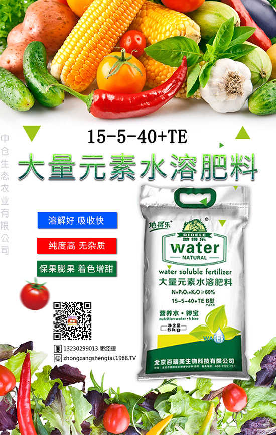 仙人球這樣養(yǎng)才不會死!金琥繁殖及栽培養(yǎng)殖管理!