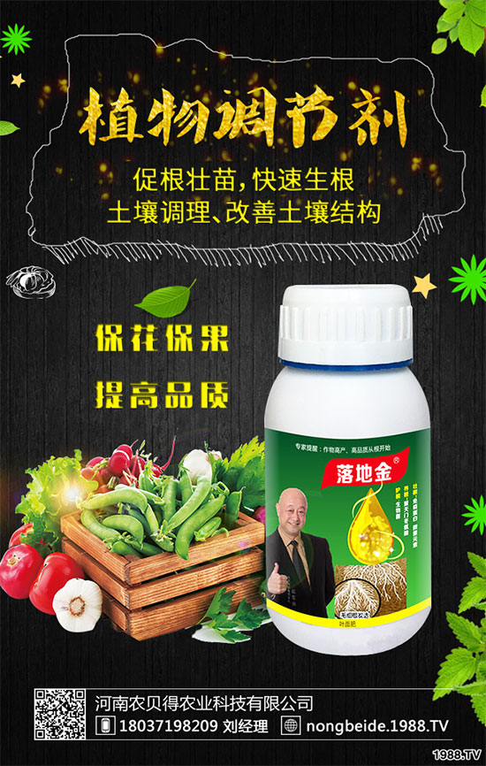 小香芹有哪些食用價(jià)值?小香芹的形態(tài)特征!