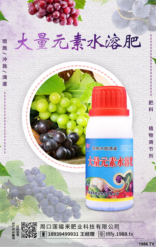 皂莢刺多少錢一斤？種植前景如何？中藥材的效益分析