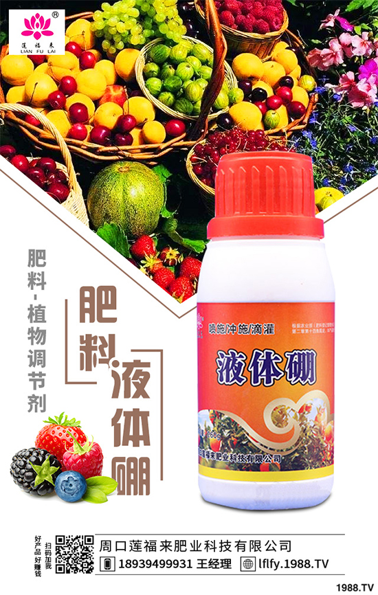 皂莢樹有哪些用途?該如何栽培?皂莢樹的栽培管理技術(shù)