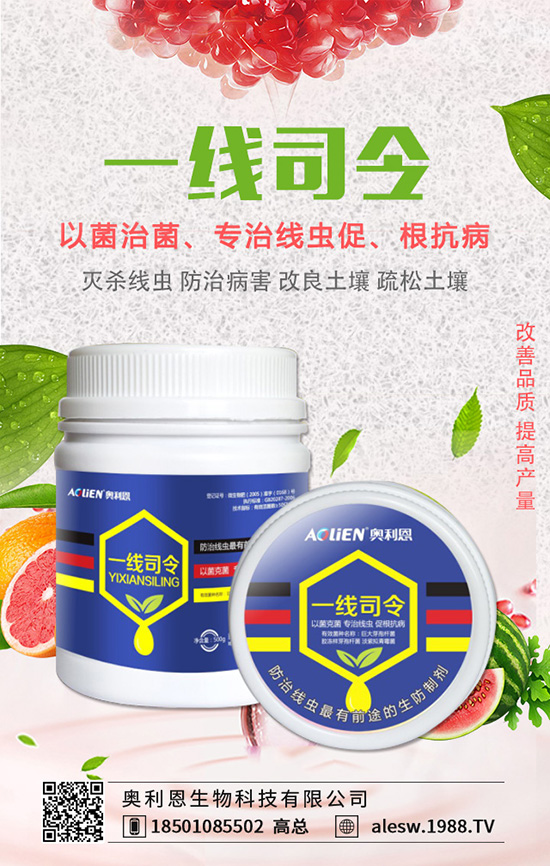 豌豆基腐病有什么危害？豌豆基腐病的發(fā)生規(guī)律及防治！