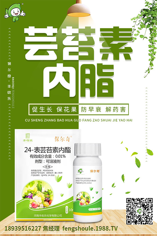 �������ô�޽�����ϼ޽Ӹ߮a(ch��n)�Nֲ���g(sh��)��