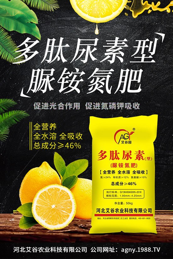 四季豆種植要點(diǎn)，四季豆育苗技術(shù)及苗期管理