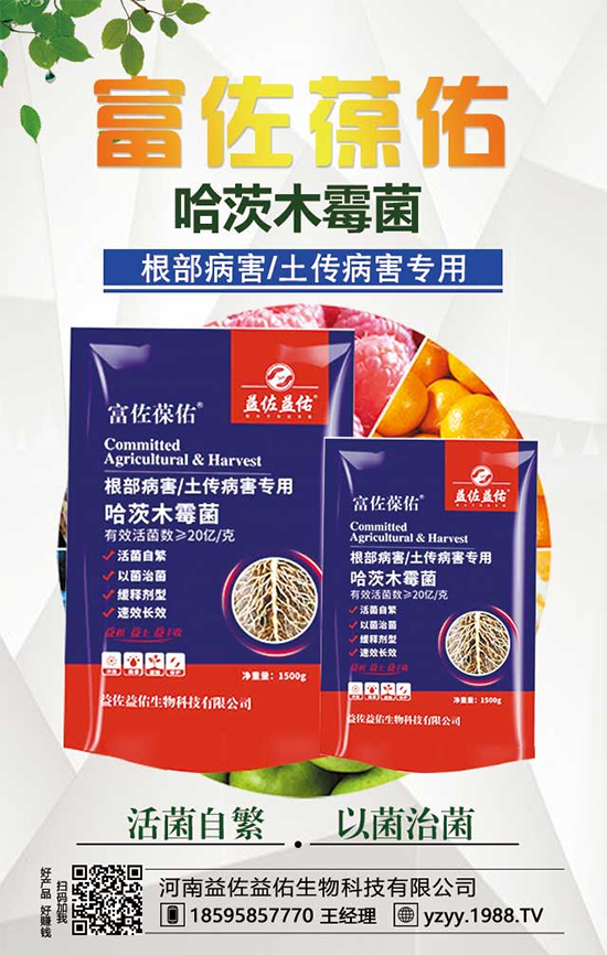 芋頭都有什么營養(yǎng)價(jià)值?吃芋頭有什么好處?