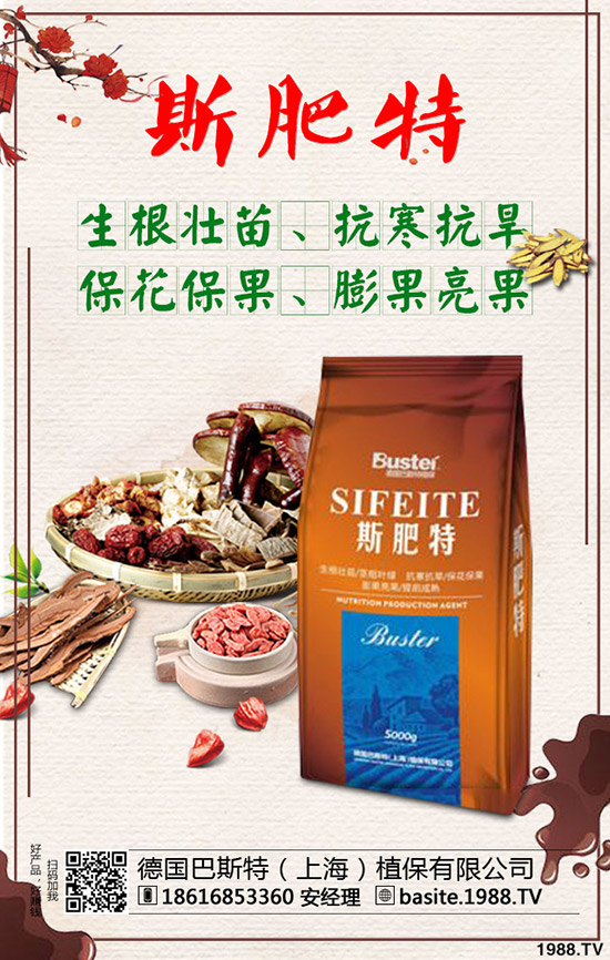 西瓜苗幾月份移栽，西瓜苗定植移栽技術(shù)及注意事項(xiàng)！