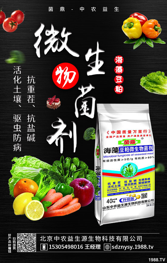     二銨市場整體表現(xiàn)平靜！2020-5-12最新磷酸二銨價格行情分析！