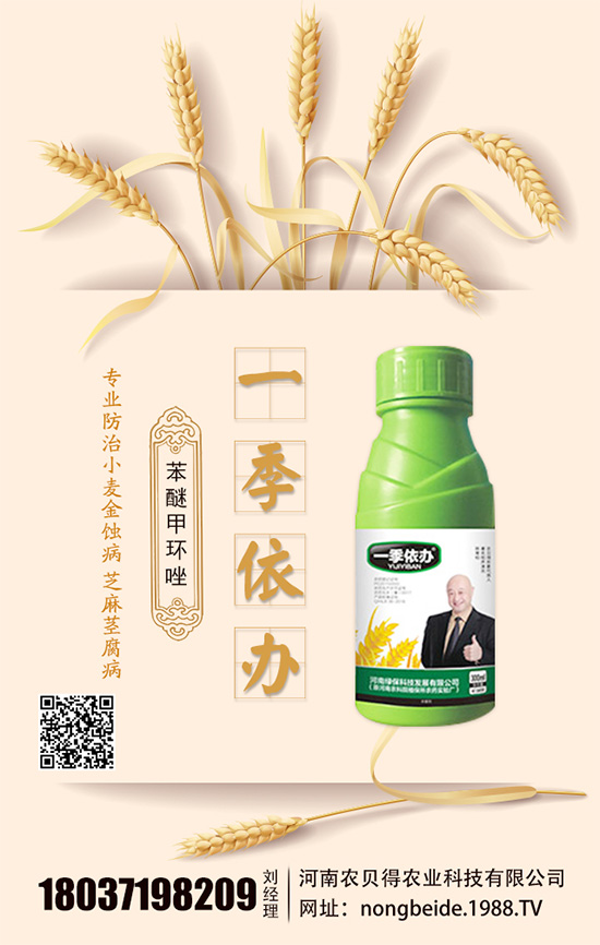 水培白掌怎么養(yǎng)?水培水培注意要點(diǎn)!