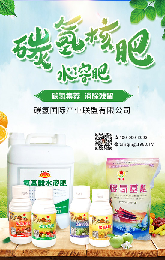 5月可以種什么菜?5月蔬菜種植指南及防注意事項(xiàng)!