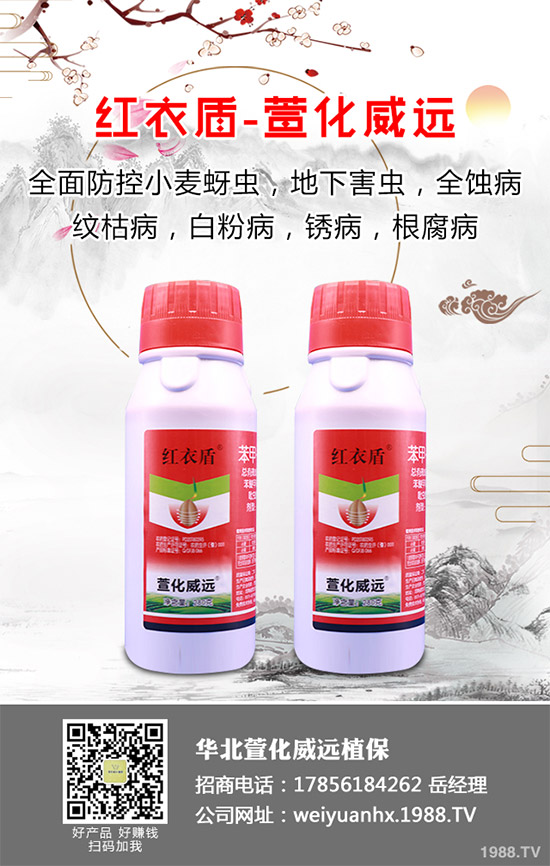 金花葵又叫菜芙蓉、野芙蓉等等,是一種集藥用、食用為一體,有著清熱涼血、鎮(zhèn)痛等各種功效的草本植物。主要用于水腫、等,其營養(yǎng)價值也是非常豐富的,在我國非常受歡迎。那么,金花葵該如何栽培呢?金花葵高產(chǎn)栽培技術(shù)有哪些?