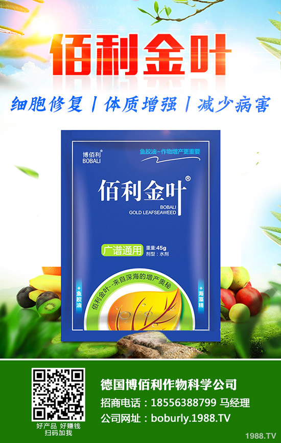     蘿卜撇葉中應(yīng)該注意什么？蘿卜撇葉的方法及注意事項！