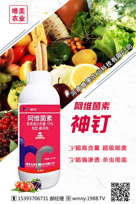 洋蔥的栽培品種有哪些？種植洋蔥對(duì)環(huán)境條件的要求！