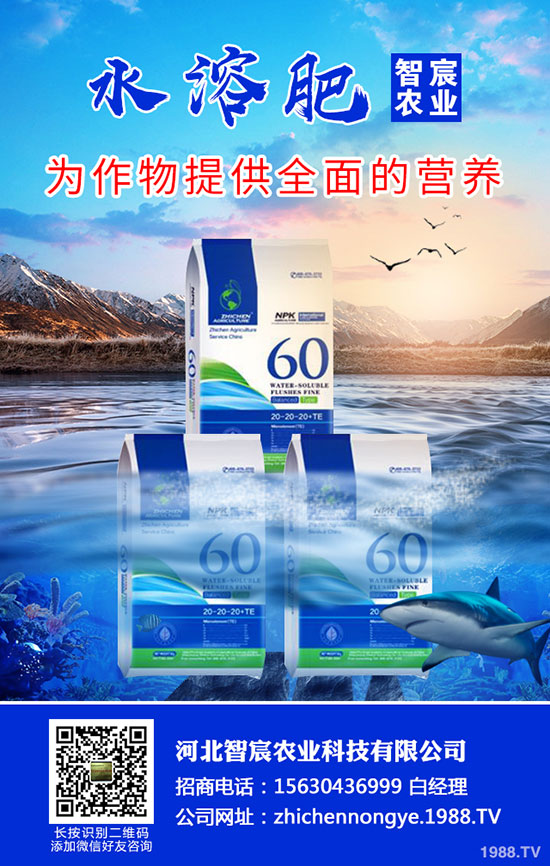 2020尿素價(jià)格要上漲!最新尿素行情走勢(shì)分析!