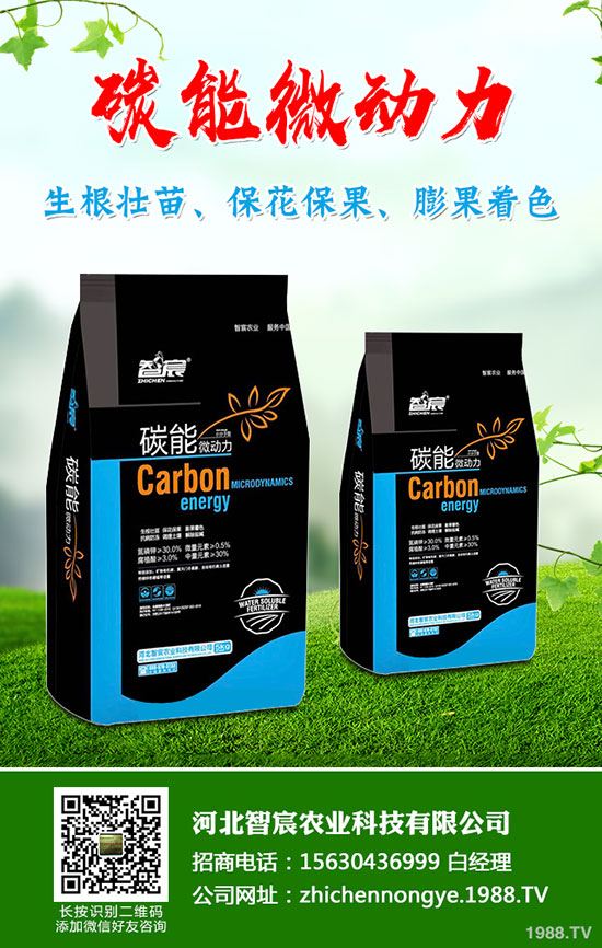 5月國(guó)內(nèi)磷肥市場(chǎng)何去何從?最新一銨二銨價(jià)格行情走勢(shì)預(yù)測(cè)!