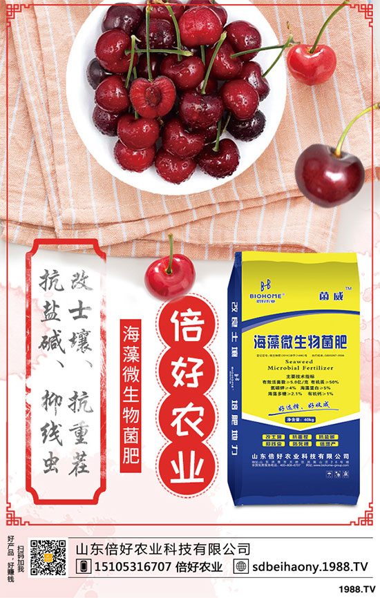 尿素價格局地反彈！2020年5月16日最新尿素各地主流出廠報價一覽！