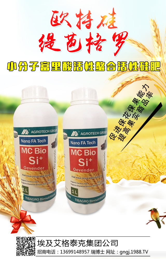 埃及艾格泰克集團公司