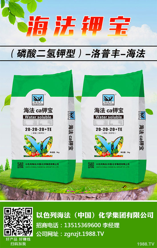 鉀肥市場價(jià)格