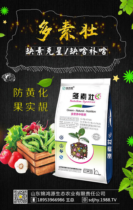 ���������緽������Щ������������Ҫ�c�����ڹ�����