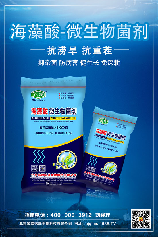 杏樹種植技術(shù)要點，杏樹的栽種注意事項！