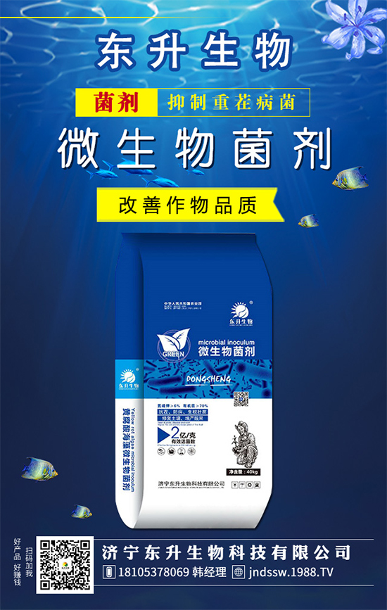 白掌的花語是什么？水培白掌的的養(yǎng)護方法！