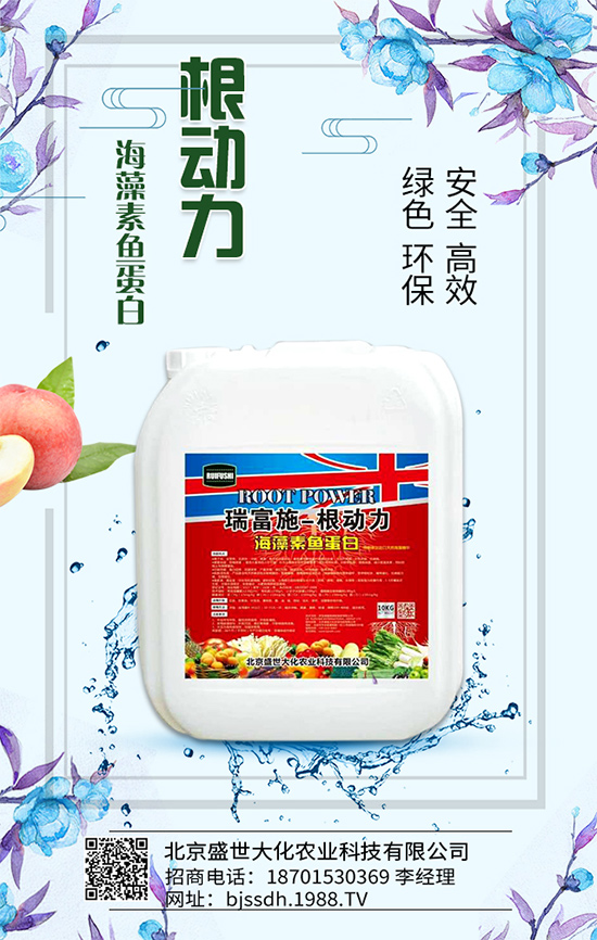 荔枝生長環(huán)境要求，荔枝苗嫁接方法及施肥原則！