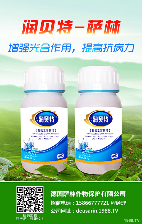 ��ۘ���ô�B(y��ng)����ۘ���B(y��ng)ֳ������ע�����