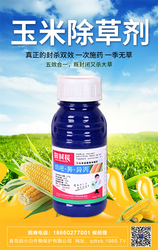 玉米種子拌種有什么作用？玉米苗期管理要點！